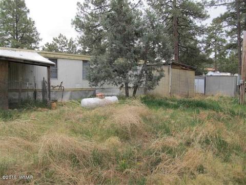 2866 Markham Rd, Overgaard, AZ 85933 photo 17
