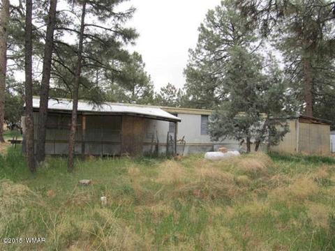 2866 Markham Rd, Overgaard, AZ 85933 photo 15