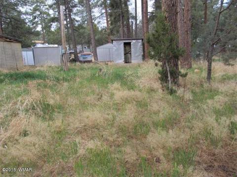 2866 Markham Rd, Overgaard, AZ 85933 photo 1