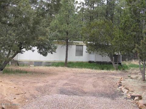 2866 Markham Rd, Overgaard, AZ 85933 photo 4