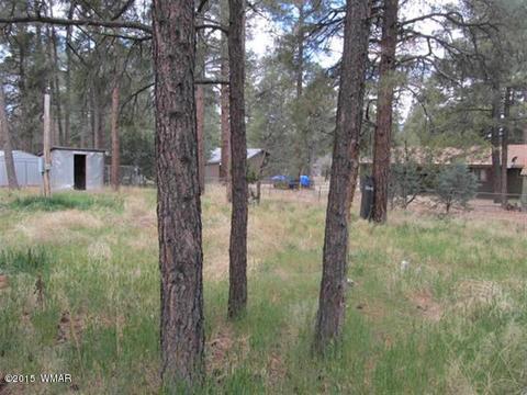 2866 Markham Rd, Overgaard, AZ 85933 photo 16