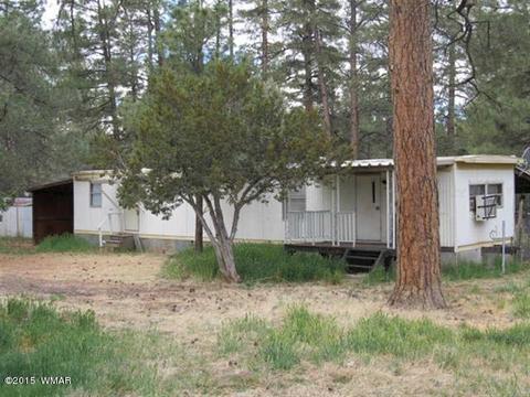2866 Markham Rd, Overgaard, AZ 85933 photo 3