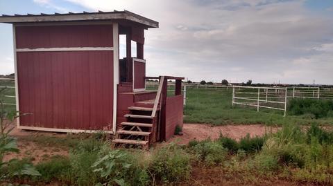 115 S Dewitt, Snowflake, AZ 85937 photo 40