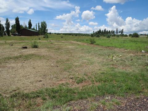 2734 Bain Trl, Overgaard, AZ 85933 photo 6