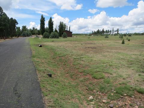 2734 Bain Trl, Overgaard, AZ 85933 photo 4