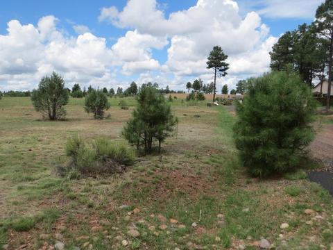 2734 Bain Trl, Overgaard, AZ 85933 photo 1