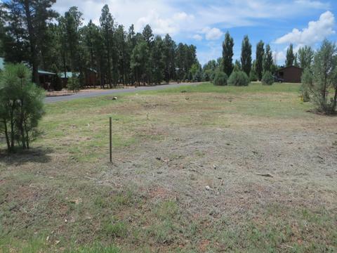 2734 Bain Trl, Overgaard, AZ 85933 photo 3