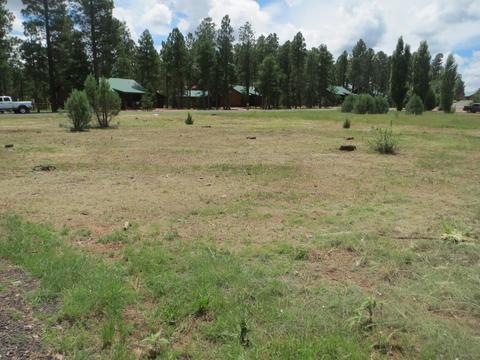2734 Bain Trl, Overgaard, AZ 85933 photo 7