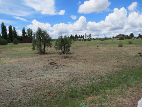 2734 Bain Trl, Overgaard, AZ 85933 photo 2