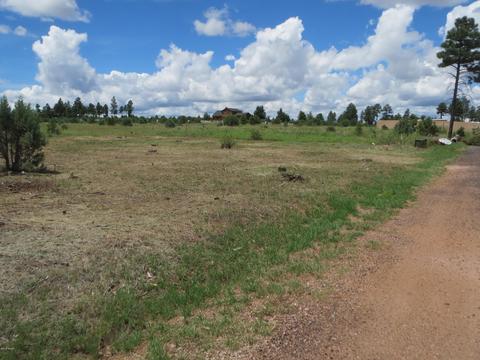 2734 Bain Trl, Overgaard, AZ 85933 photo 5