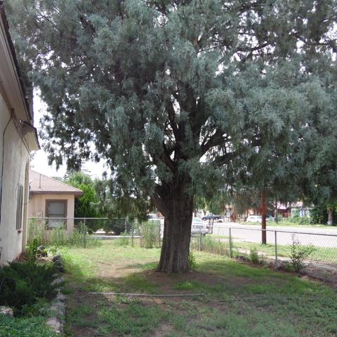 10 S 1st E, Snowflake, AZ 85937 photo 4