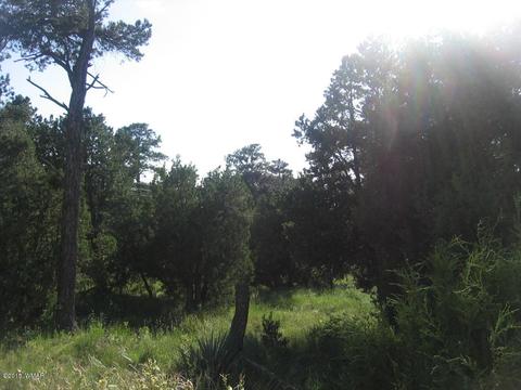 3560 Starlite Dr, Overgaard, AZ 85933 photo 5