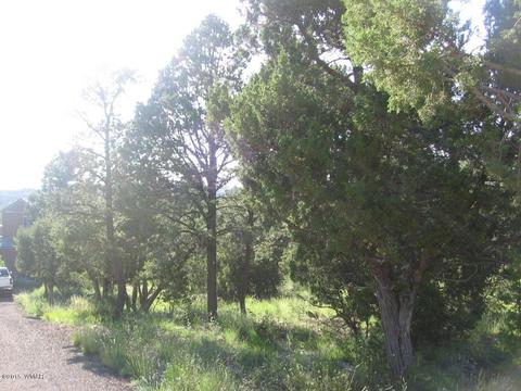 3560 Starlite Dr, Overgaard, AZ 85933 photo 3