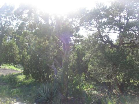 3560 Starlite Dr, Overgaard, AZ 85933 photo 2