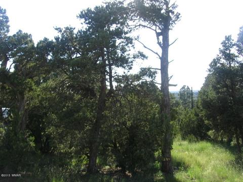 3560 Starlite Dr, Overgaard, AZ 85933 photo 1