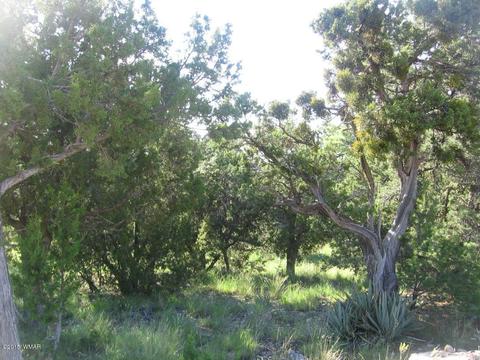 3560 Starlite Dr, Overgaard, AZ 85933 photo 4