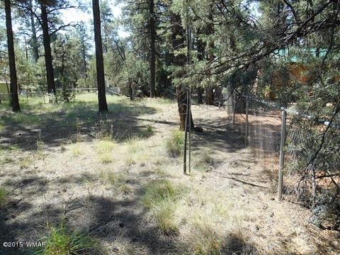 2193 Teddy Bear Ln, Overgaard, AZ 85933 photo 5
