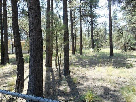2193 Teddy Bear Ln, Overgaard, AZ 85933 photo 1