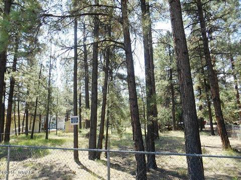 2193 Teddy Bear Ln, Overgaard, AZ 85933 photo 2