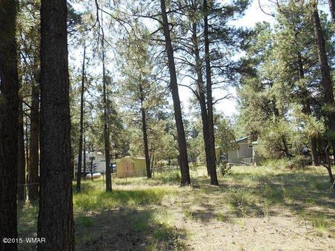 2193 Teddy Bear Ln, Overgaard, AZ 85933 photo 10