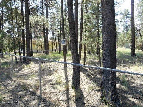 2193 Teddy Bear Ln, Overgaard, AZ 85933 photo 3