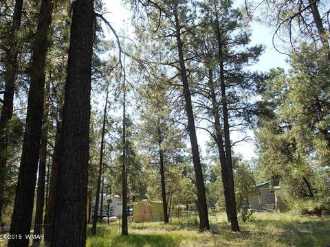 2193 Teddy Bear Ln, Overgaard, AZ 85933 photo 11