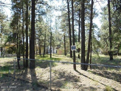 2193 Teddy Bear Ln, Overgaard, AZ 85933 photo 6