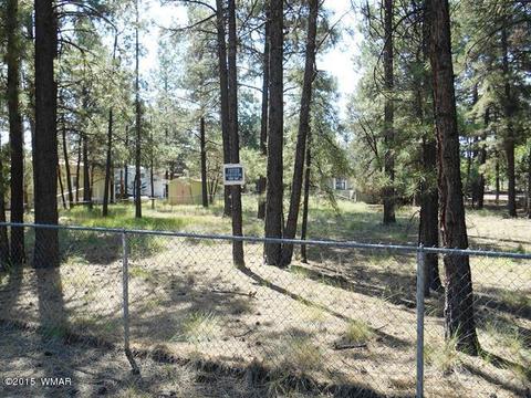 2193 Teddy Bear Ln, Overgaard, AZ 85933 photo 8