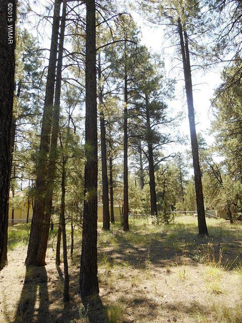 2193 Teddy Bear Ln, Overgaard, AZ 85933 photo 4