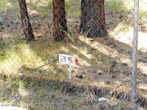 2193 Teddy Bear Ln, Overgaard, AZ 85933 photo 9