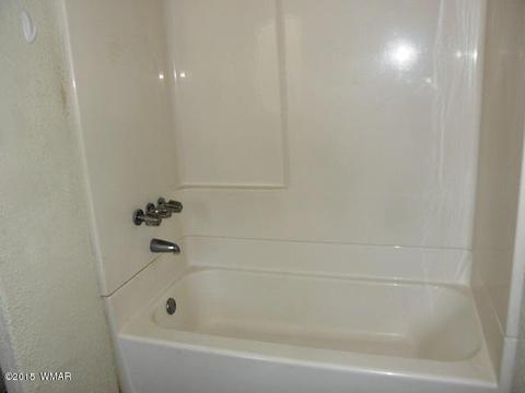 2178 Ruby Ln, Overgaard, AZ 85933 photo 28