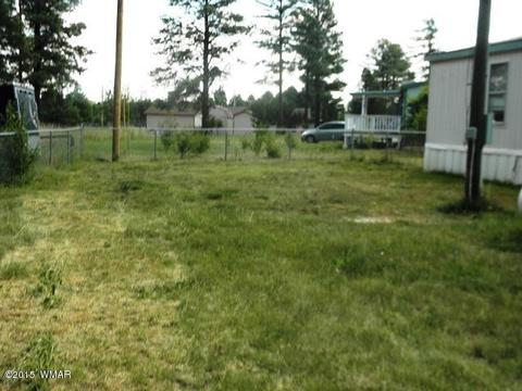 2178 Ruby Ln, Overgaard, AZ 85933 photo 11