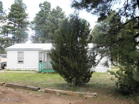 2178 Ruby Ln, Overgaard, AZ 85933 photo 4