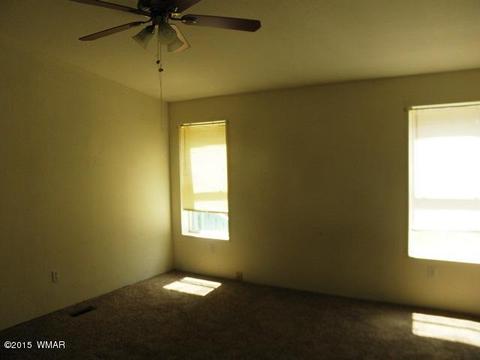 2178 Ruby Ln, Overgaard, AZ 85933 photo 25