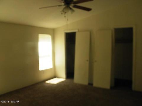 2178 Ruby Ln, Overgaard, AZ 85933 photo 24