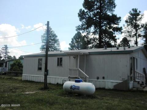 2178 Ruby Ln, Overgaard, AZ 85933 photo 12