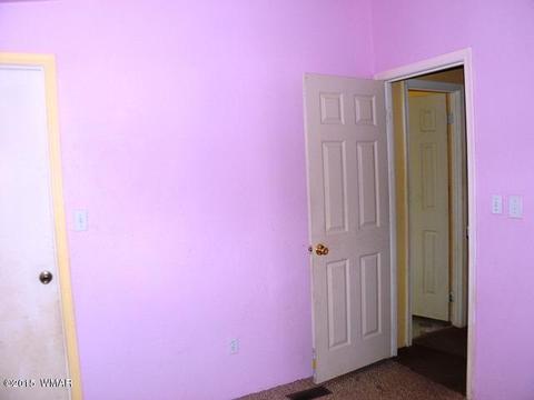 2178 Ruby Ln, Overgaard, AZ 85933 photo 33
