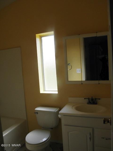 2178 Ruby Ln, Overgaard, AZ 85933 photo 34
