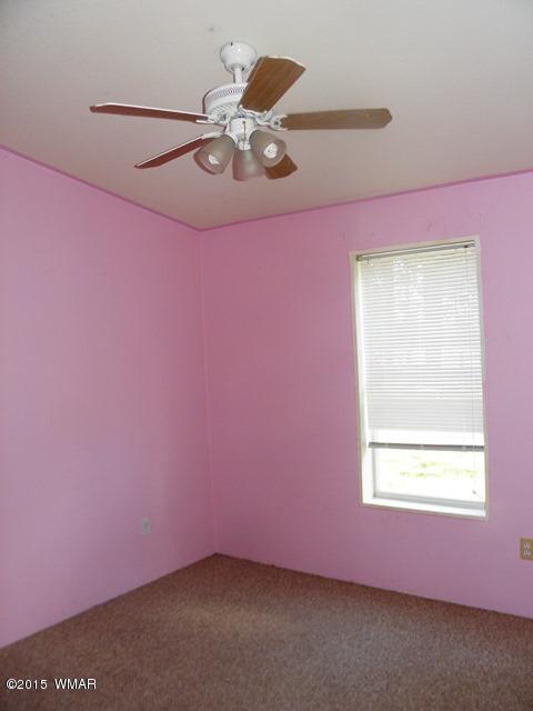 2178 Ruby Ln, Overgaard, AZ 85933 photo 32