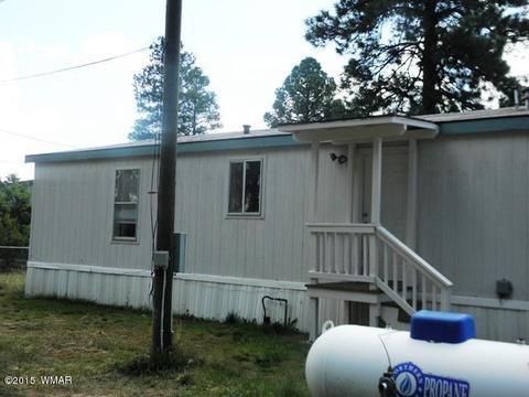 2178 Ruby Ln, Overgaard, AZ 85933 photo 13