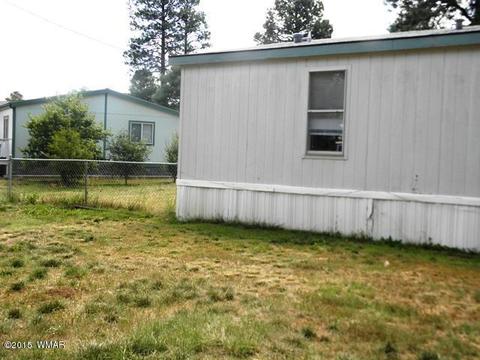 2178 Ruby Ln, Overgaard, AZ 85933 photo 14