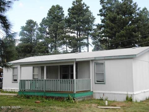 2178 Ruby Ln, Overgaard, AZ 85933 photo 6