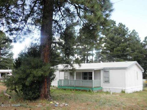 2178 Ruby Ln, Overgaard, AZ 85933 photo 1