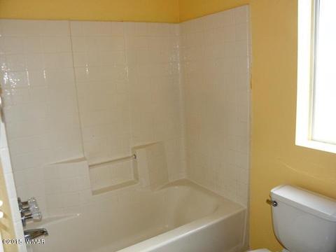 2178 Ruby Ln, Overgaard, AZ 85933 photo 35