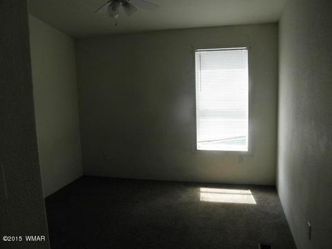 2178 Ruby Ln, Overgaard, AZ 85933 photo 30