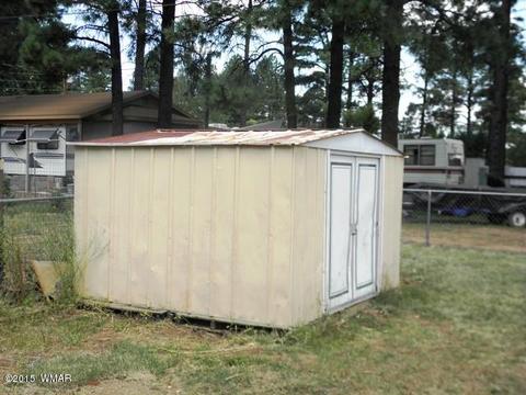 2178 Ruby Ln, Overgaard, AZ 85933 photo 9