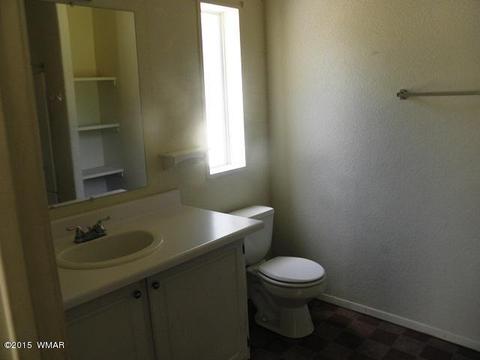 2178 Ruby Ln, Overgaard, AZ 85933 photo 29
