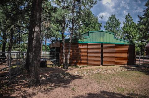 2729 Covered Wagon Trl, Overgaard, AZ 85933 photo 67