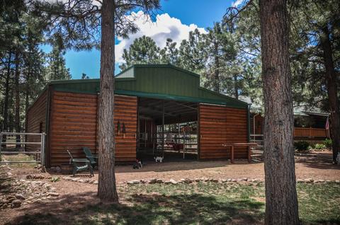 2729 Covered Wagon Trl, Overgaard, AZ 85933 photo 68