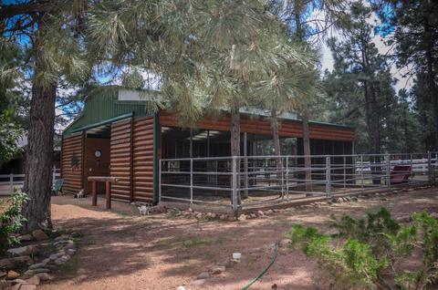 2729 Covered Wagon Trl, Overgaard, AZ 85933 photo 61